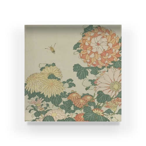 葛飾北斎　『菊と蜂』のイメージ画像